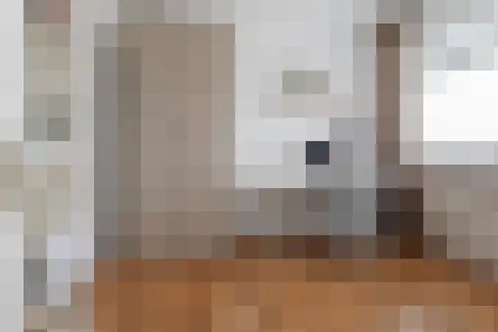 Beneluxlaan 116 Utrecht thumbnail 19