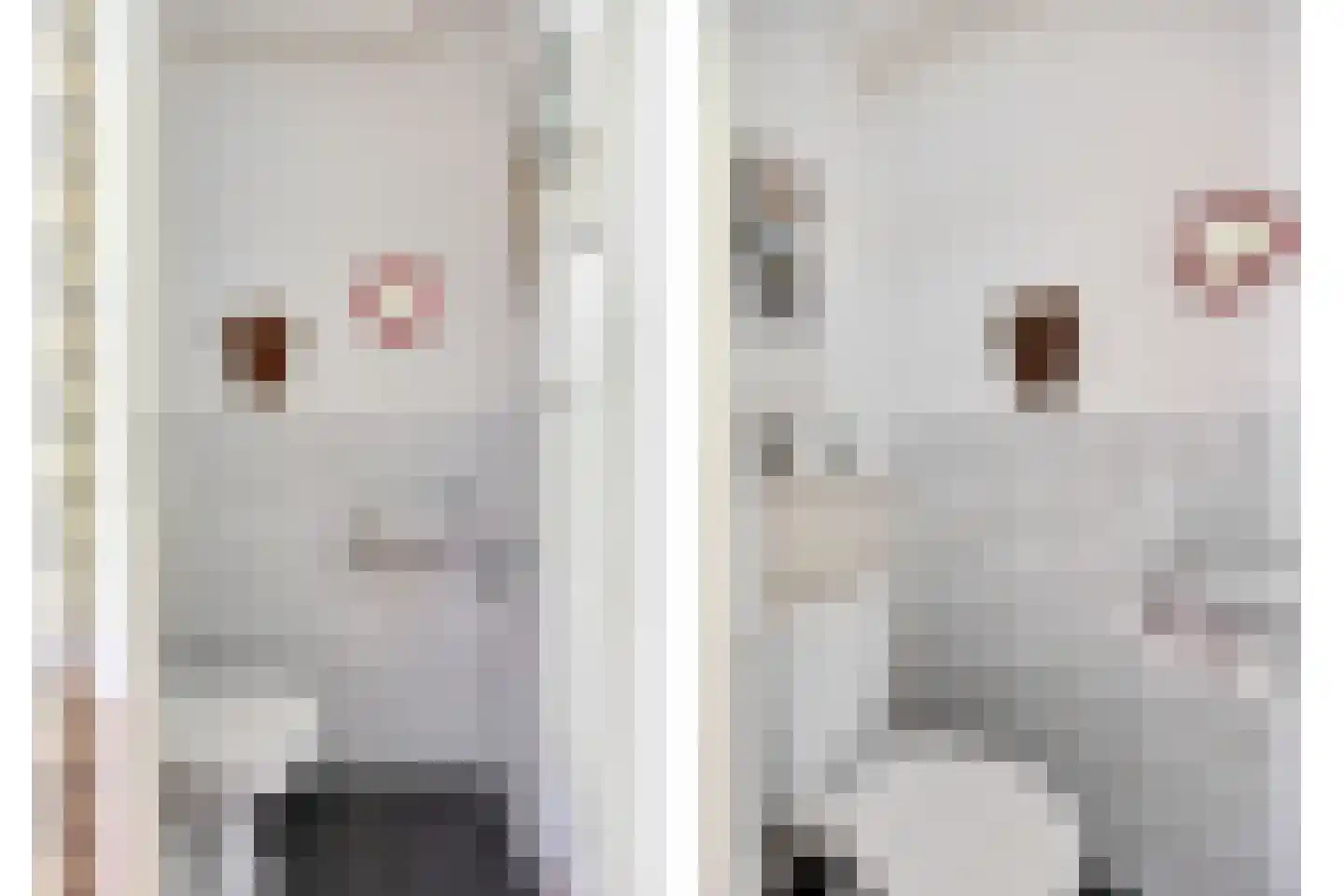 Beneluxlaan 13 Dongen thumbnail 10
