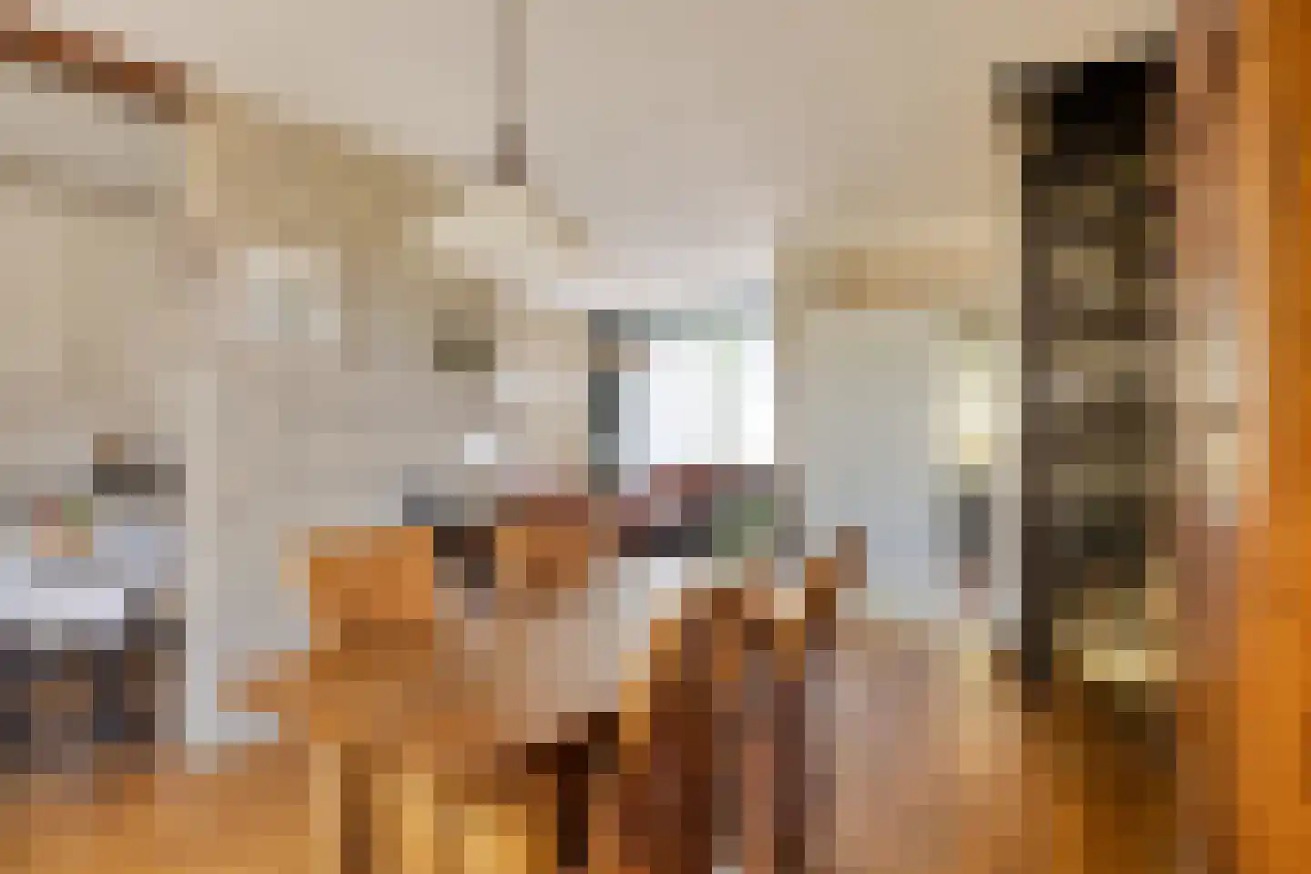 Beneluxlaan 13 Dongen thumbnail 15