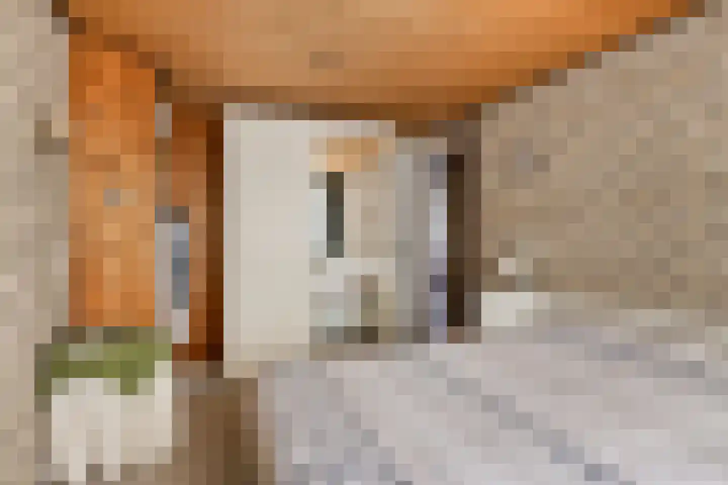 Beneluxlaan 13 Dongen thumbnail 21