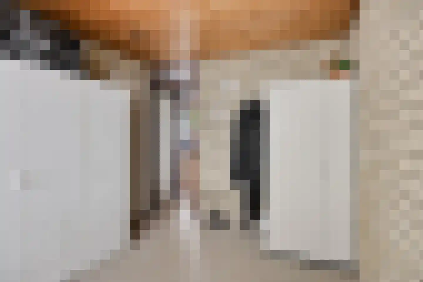 Beneluxlaan 13 Dongen thumbnail 25