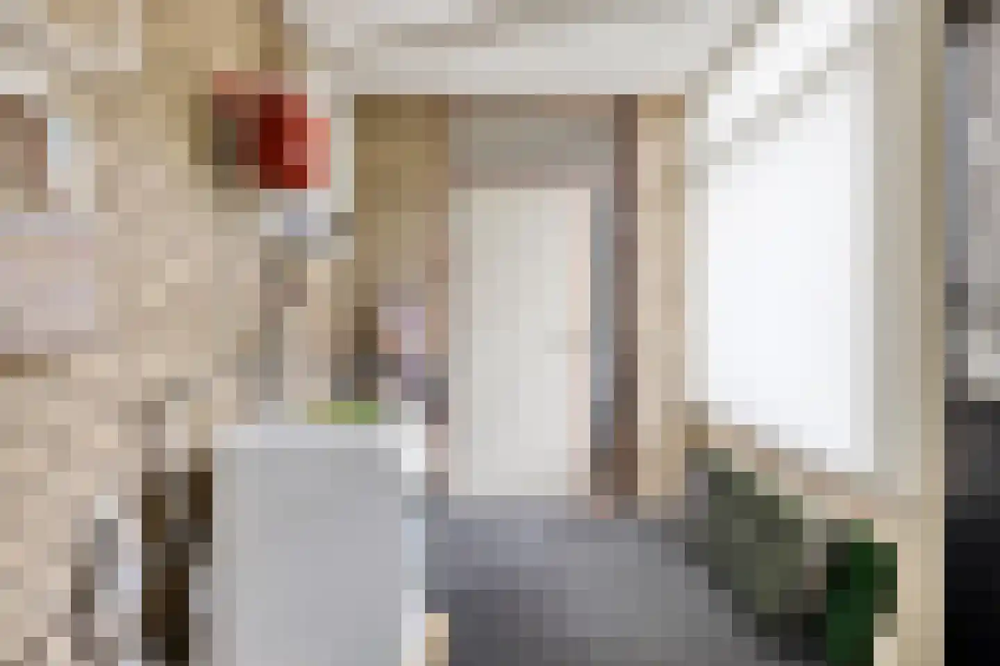 Beneluxlaan 13 Dongen thumbnail 28