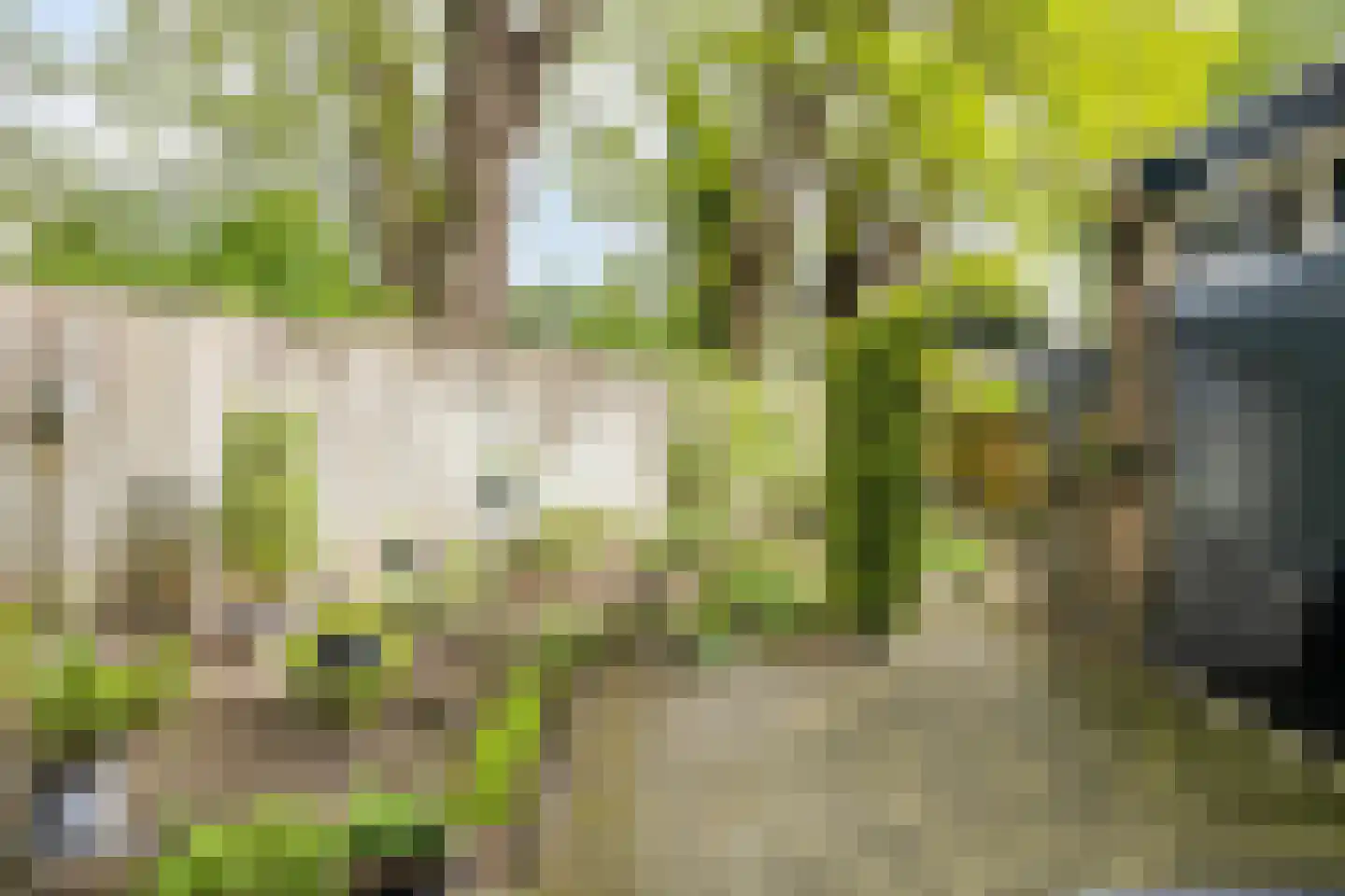 Beneluxlaan 13 Dongen thumbnail 29