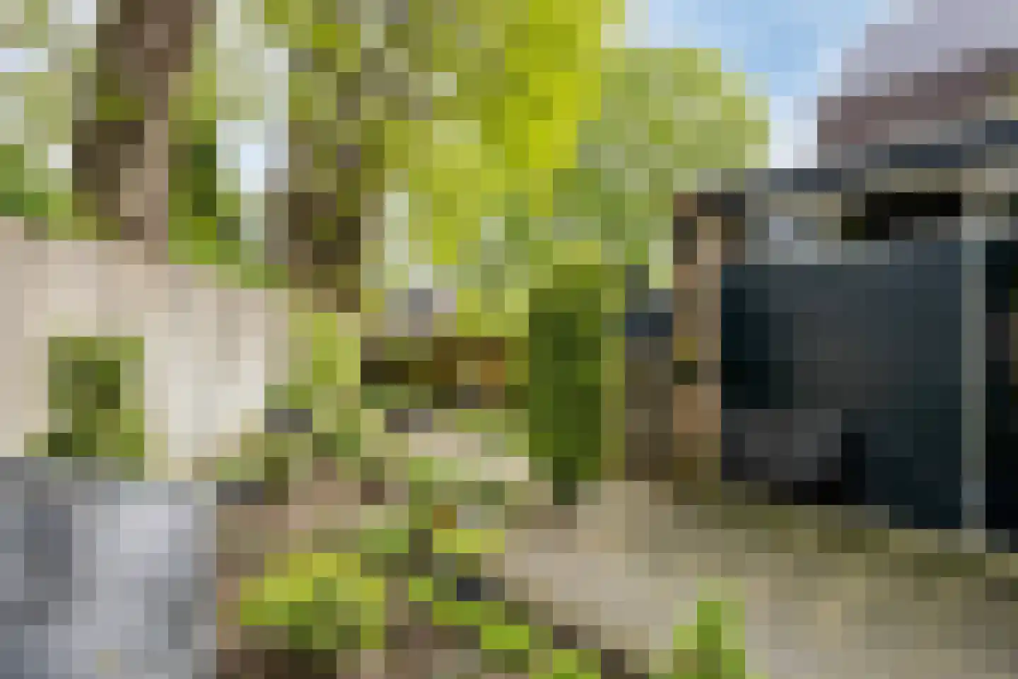 Beneluxlaan 13 Dongen thumbnail 30