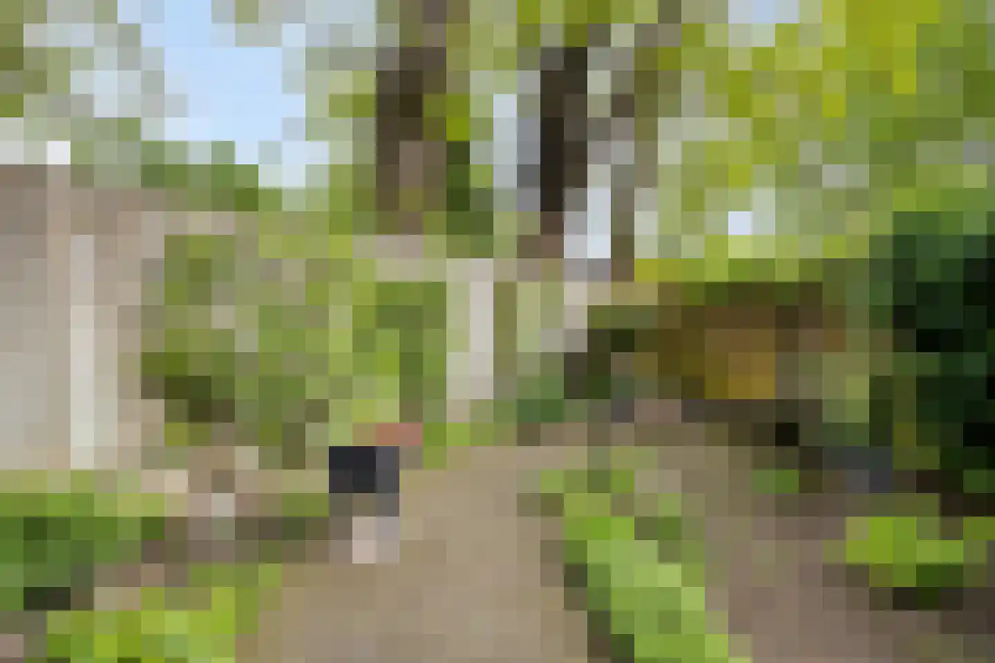 Beneluxlaan 13 Dongen thumbnail 32
