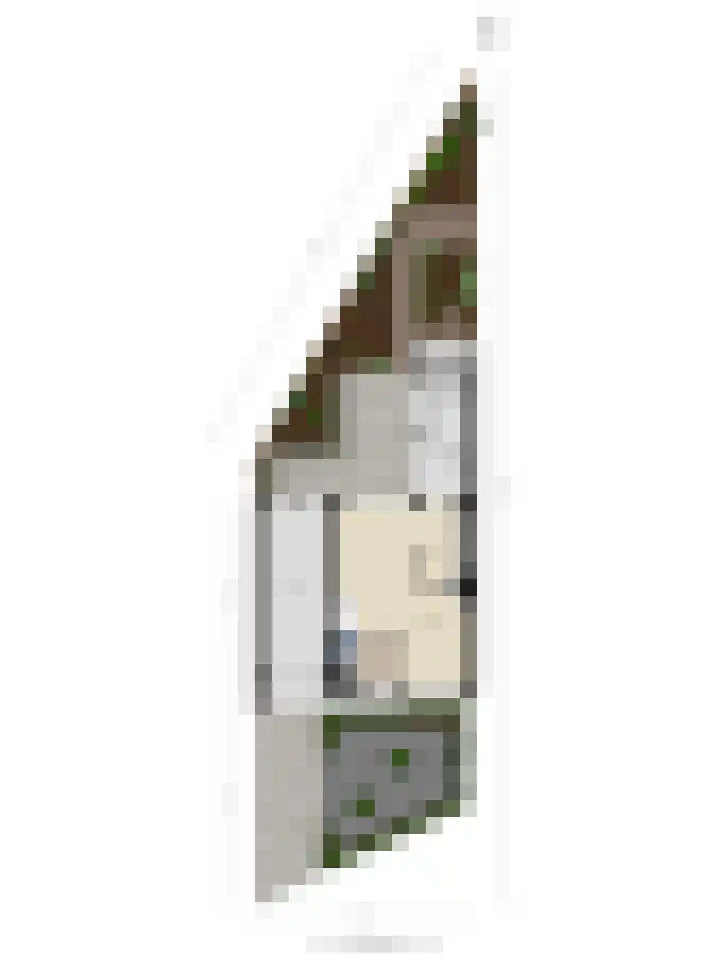 Beneluxlaan 13 Dongen thumbnail 33