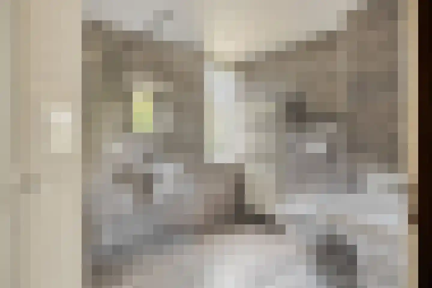 Beneluxlaan 13 Dongen thumbnail 5
