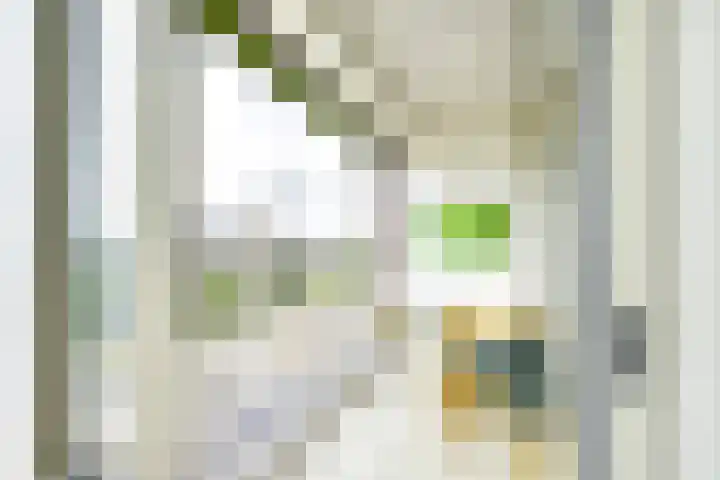 Beneluxlaan 130 Utrecht thumbnail 12