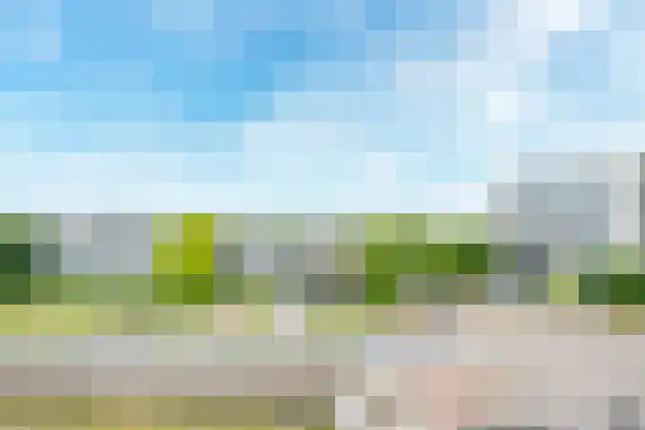 Beneluxlaan 130 Utrecht thumbnail 14
