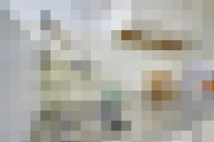Beneluxlaan 130 Utrecht thumbnail 19