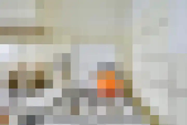 Beneluxlaan 130 Utrecht thumbnail 20
