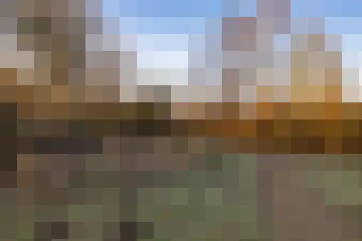 Beneluxlaan 140 Harderwijk thumbnail 44