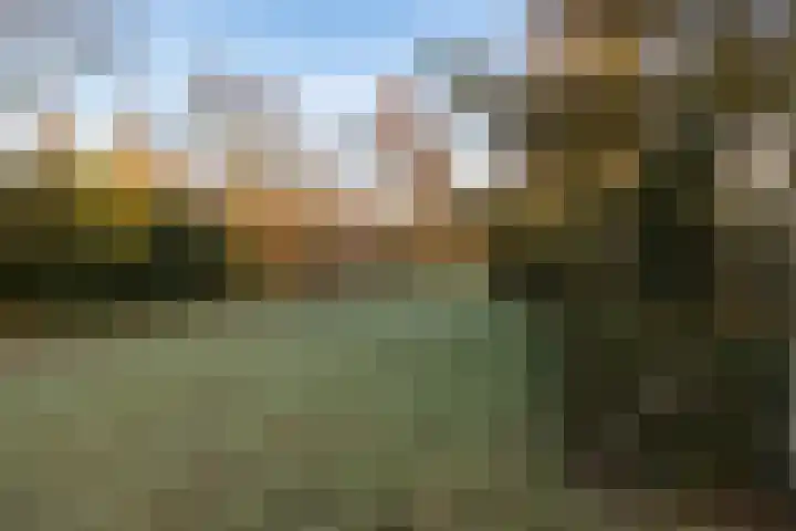 Beneluxlaan 140 Harderwijk thumbnail 45