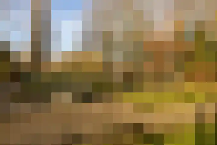 Beneluxlaan 140 Harderwijk thumbnail 46