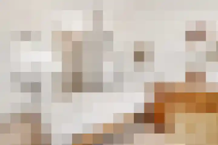 Beneluxlaan 140 Utrecht thumbnail 26