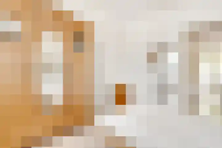 Beneluxlaan 140 Utrecht thumbnail 27