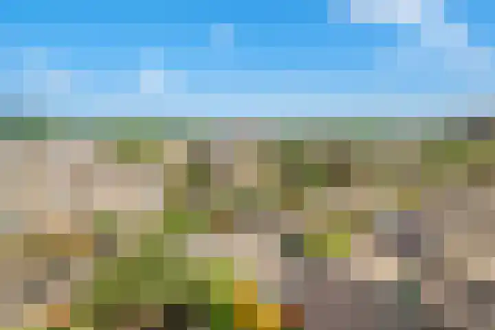 Beneluxlaan 140 Utrecht thumbnail 30