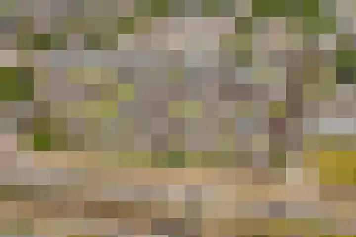 Beneluxlaan 140 Utrecht thumbnail 4