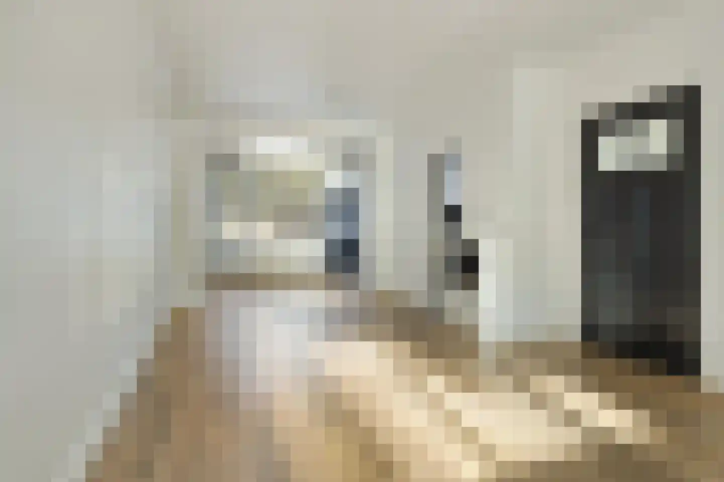 Beneluxlaan 145 Tilburg thumbnail 11