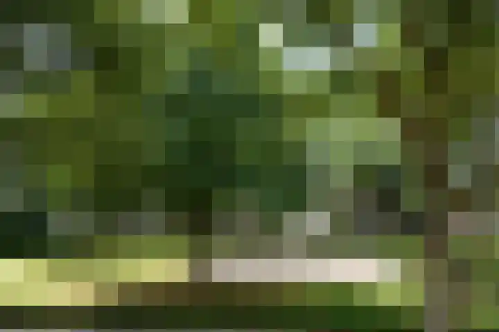 Beneluxlaan 147 Geleen thumbnail 29