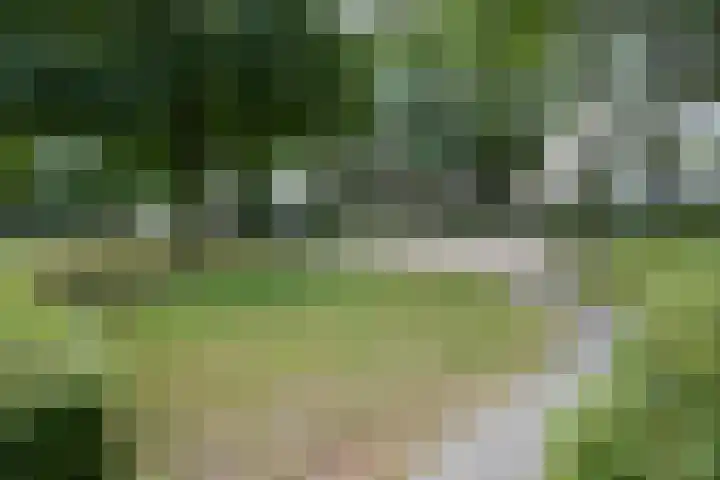 Beneluxlaan 147 Geleen thumbnail 30