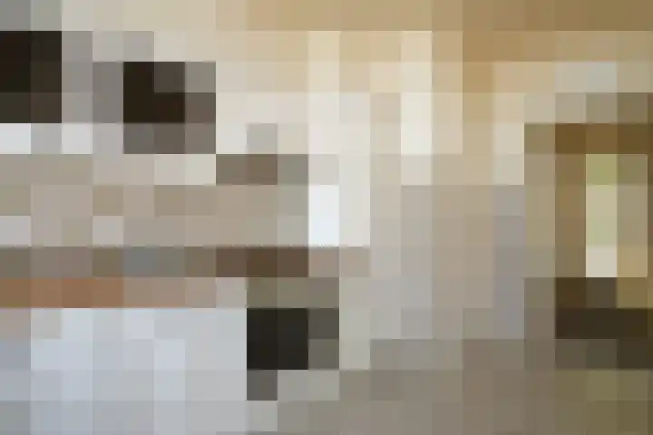 Beneluxlaan 147 Geleen thumbnail 8