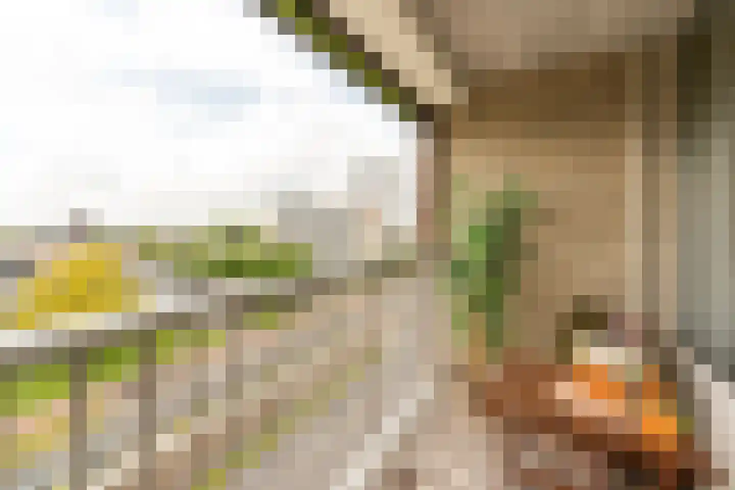 Beneluxlaan 154 Utrecht thumbnail 13
