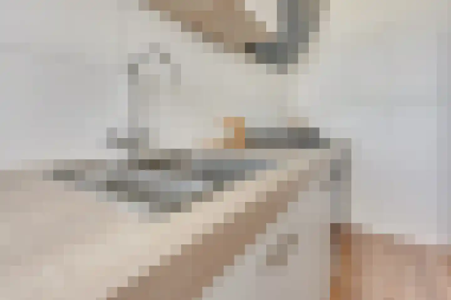 Beneluxlaan 154 Utrecht thumbnail 19