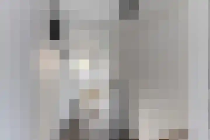 Beneluxlaan 155 Tilburg thumbnail 10