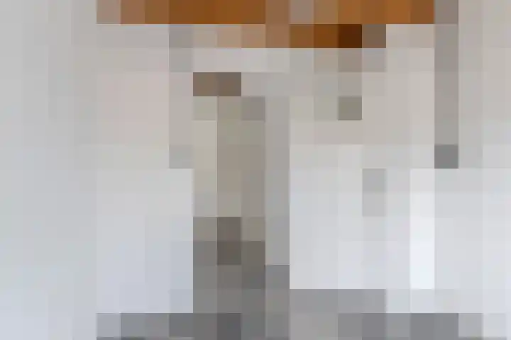 Beneluxlaan 155 Tilburg thumbnail 13
