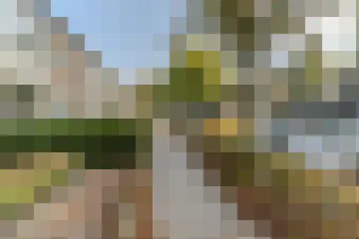Beneluxlaan 155 Tilburg thumbnail 24