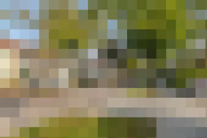 Beneluxlaan 155 Tilburg thumbnail 25