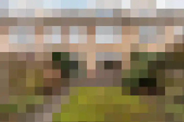 Beneluxlaan 172 Harderwijk thumbnail 31