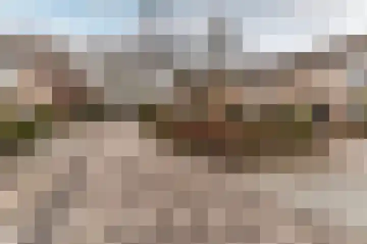 Beneluxlaan 172 Harderwijk thumbnail 35