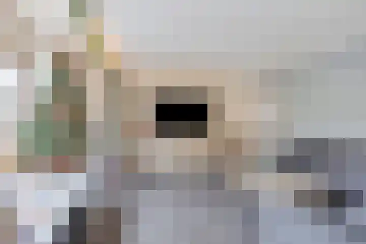 Beneluxlaan 18 Heerlen thumbnail 17