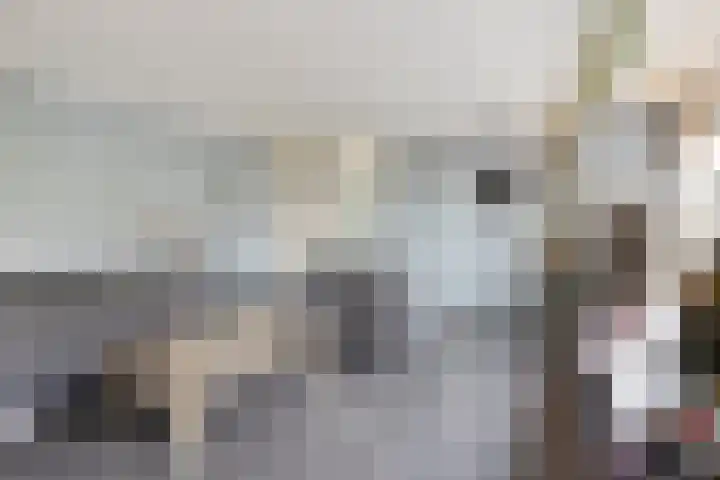 Beneluxlaan 18 Heerlen thumbnail 18
