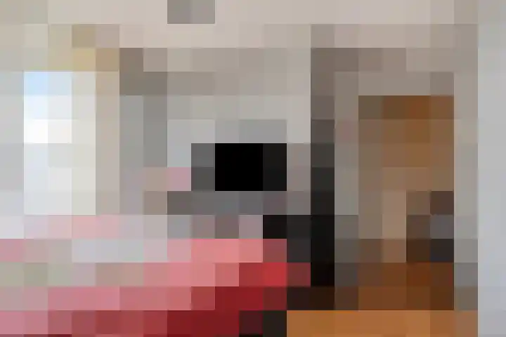 Beneluxlaan 18 Heerlen thumbnail 22