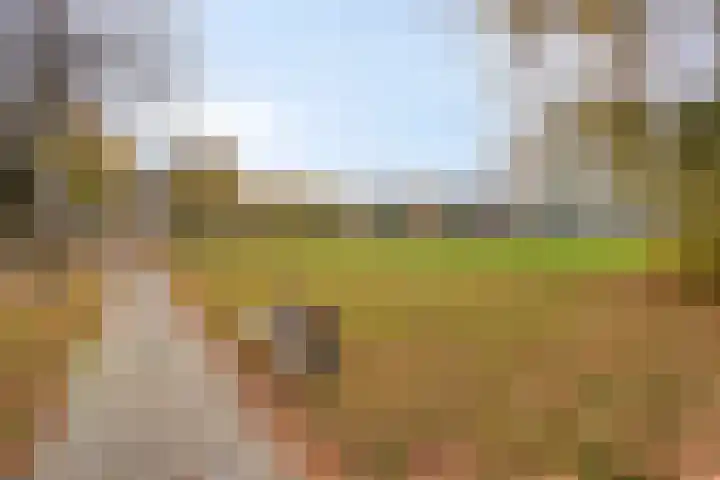 Beneluxlaan 18 Heerlen thumbnail 30