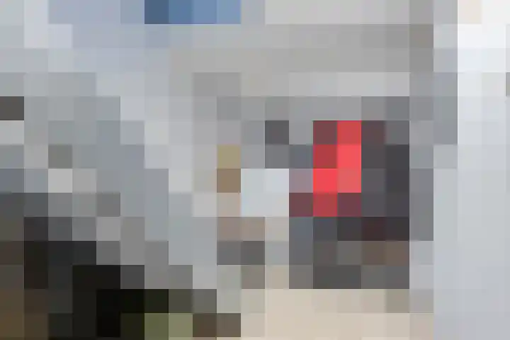 Beneluxlaan 18 Heerlen thumbnail 9