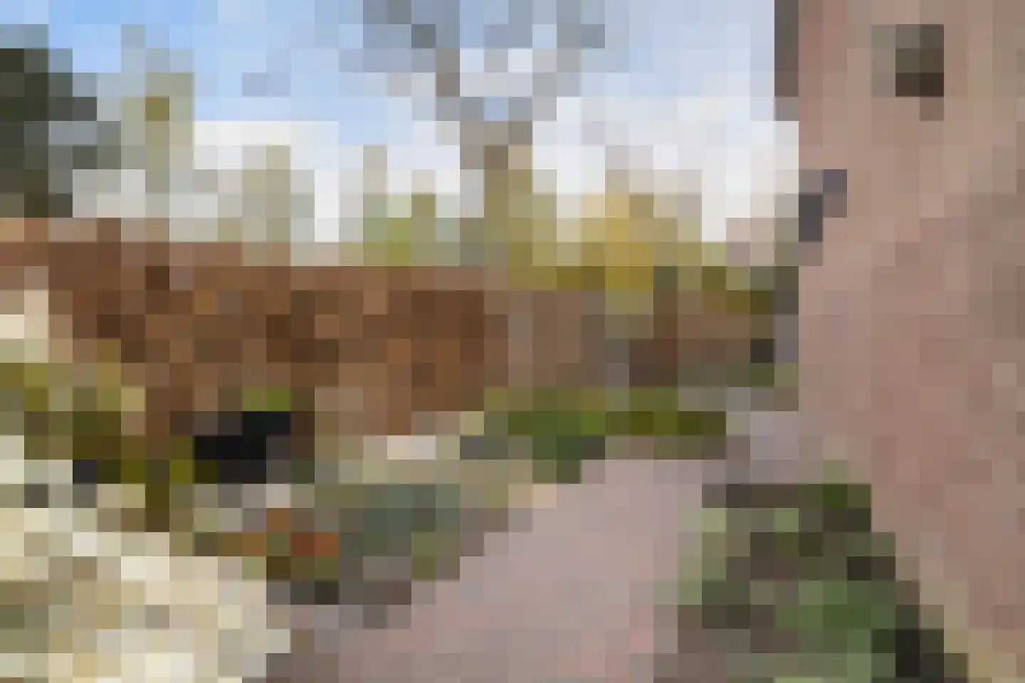 Beneluxlaan 184 Harderwijk thumbnail 50