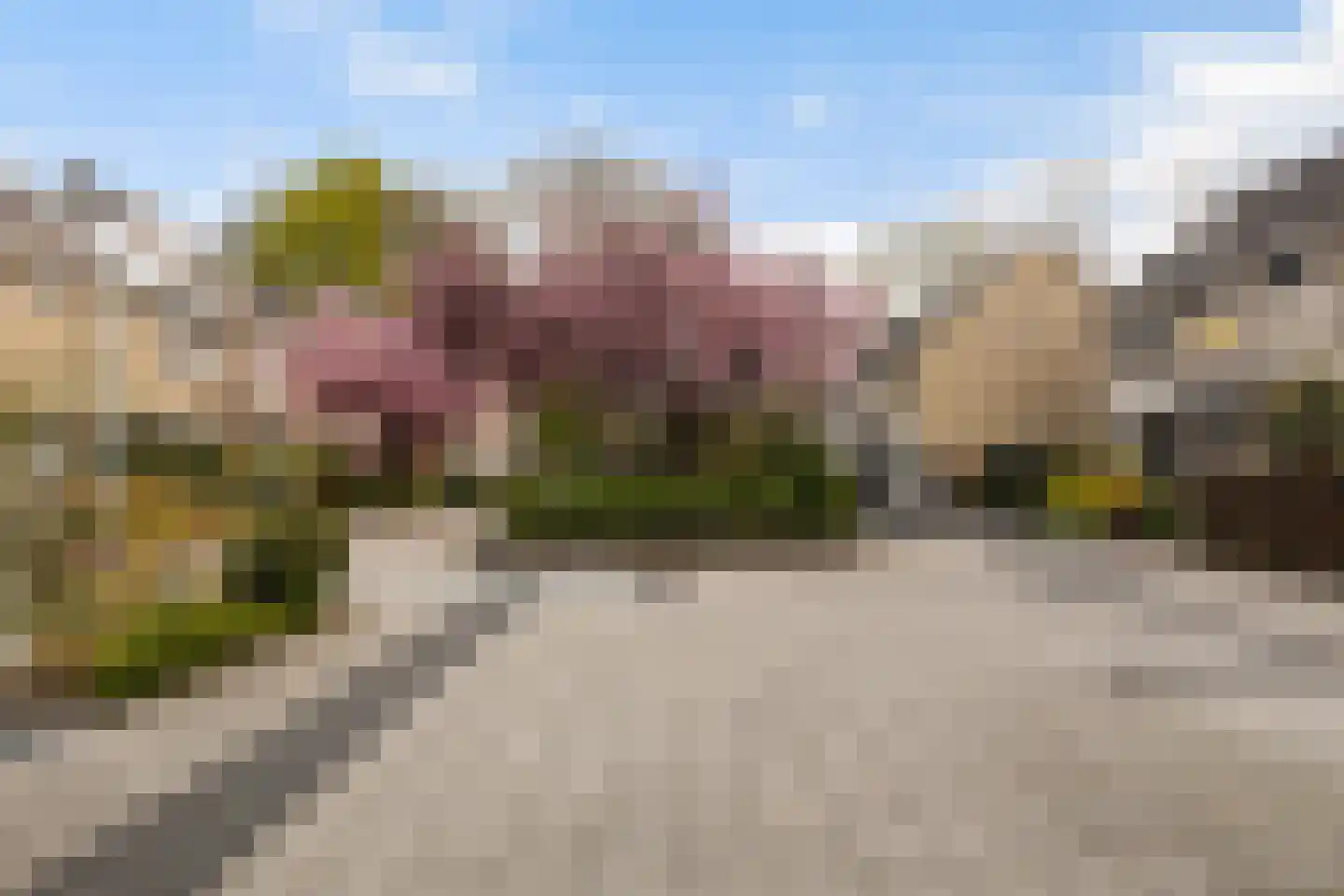 Beneluxlaan 184 Harderwijk thumbnail 53