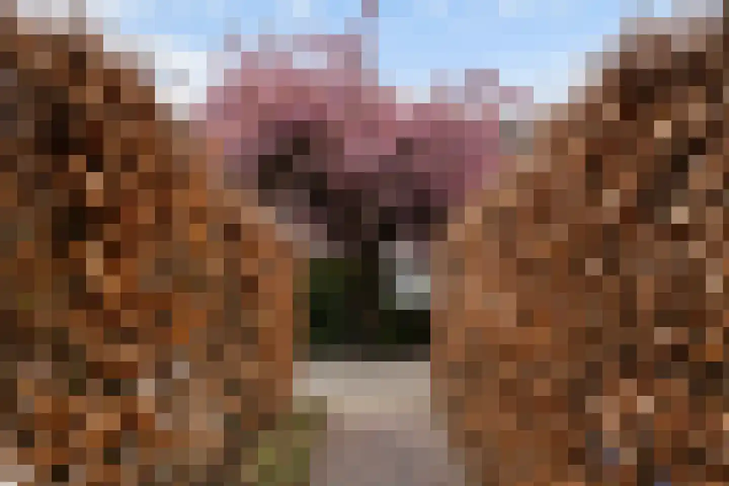 Beneluxlaan 184 Harderwijk thumbnail 56