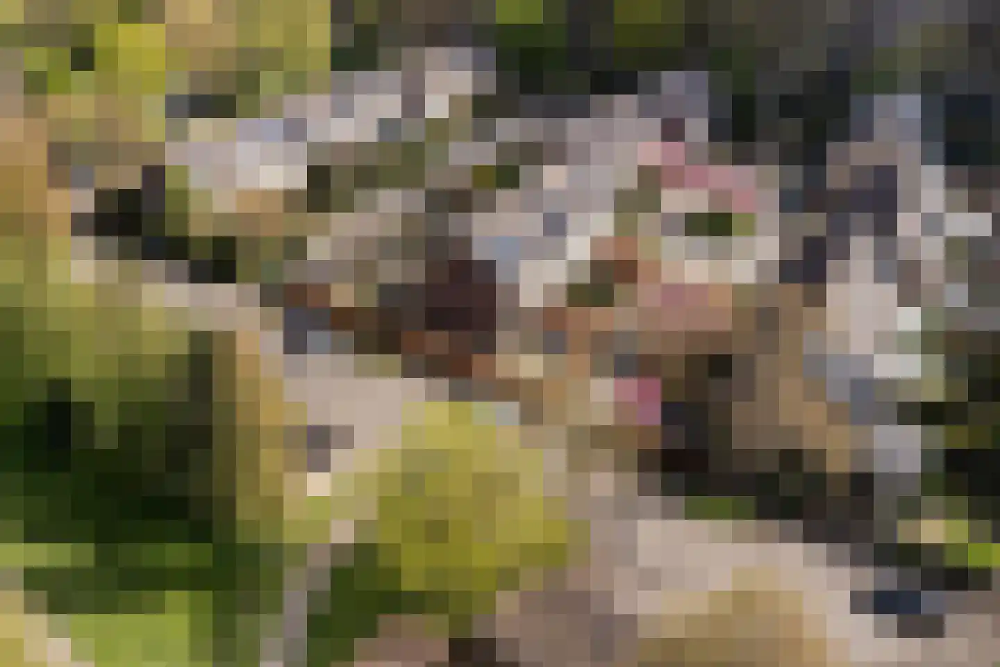 Beneluxlaan 184 Harderwijk thumbnail 58