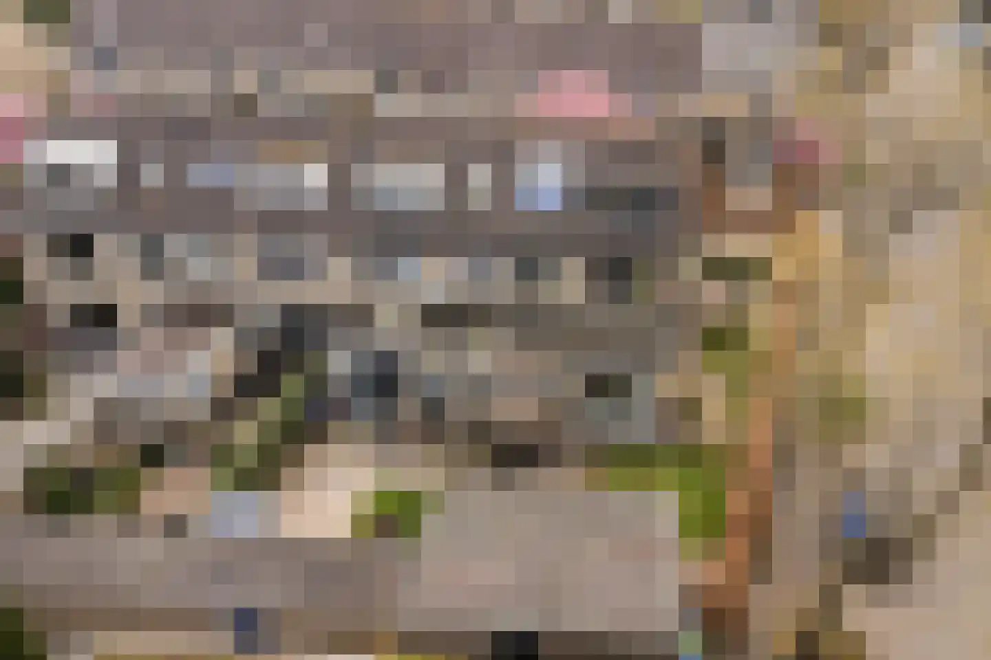 Beneluxlaan 184 Harderwijk thumbnail 59