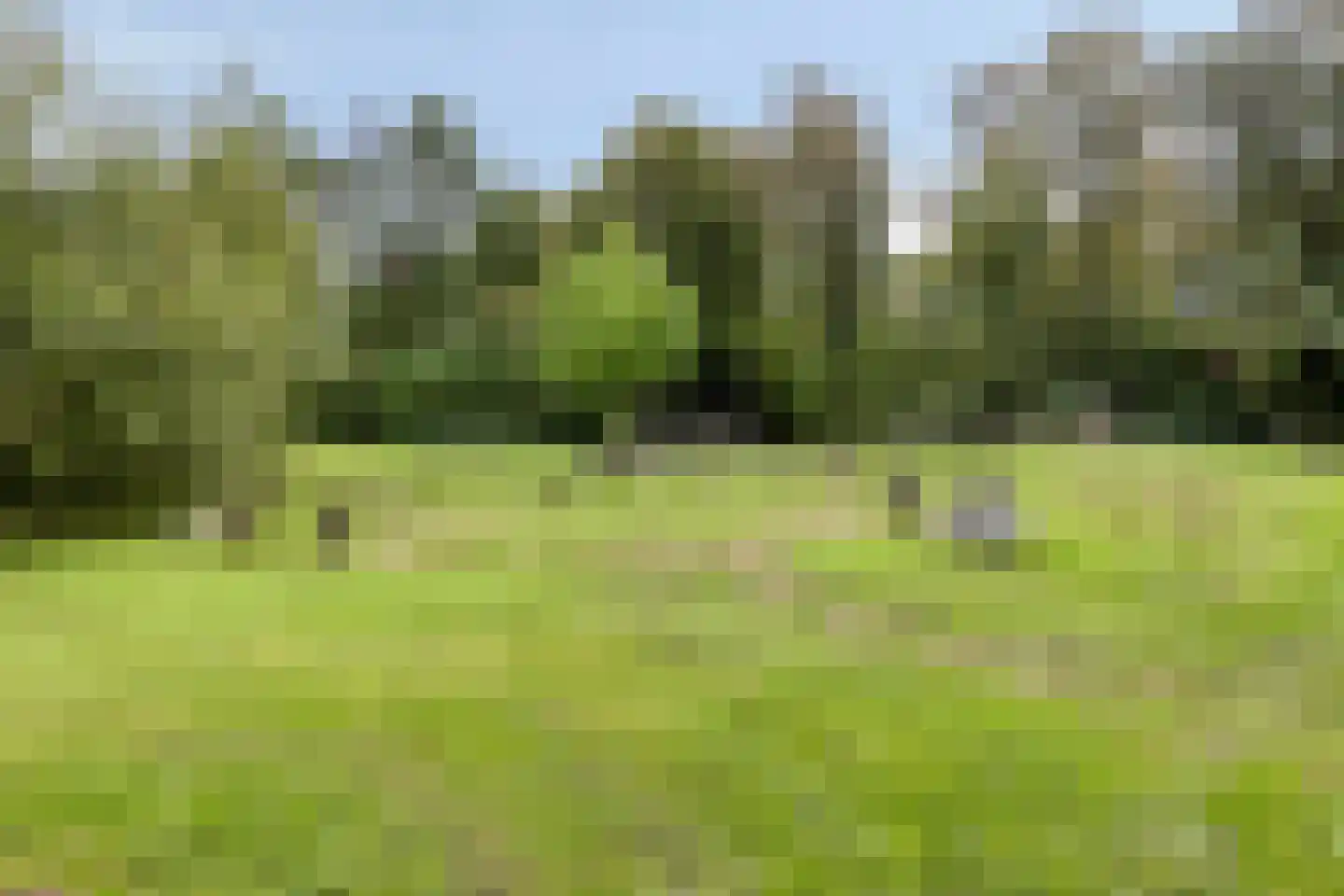 Beneluxlaan 19 Boxtel thumbnail 46