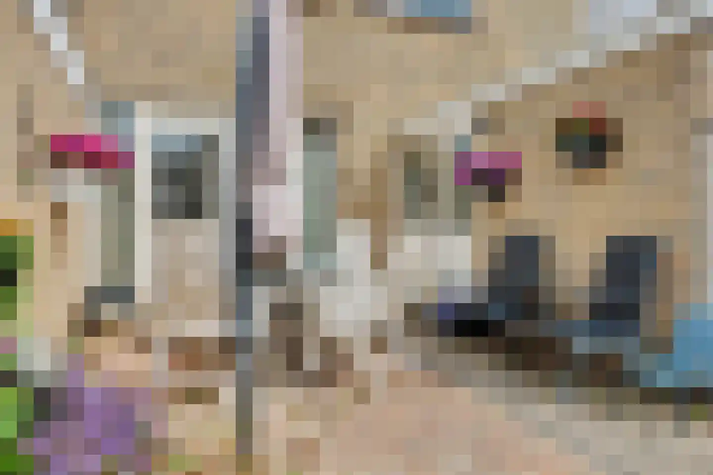 Beneluxlaan 19 Middelburg thumbnail 30