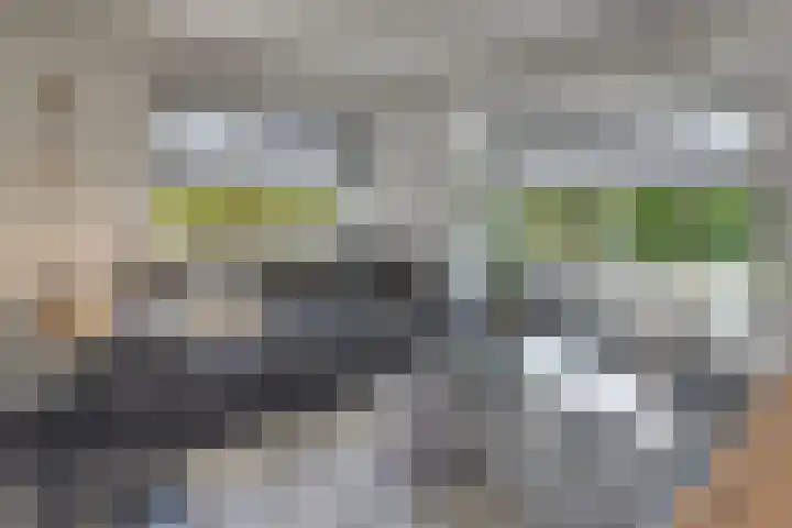 Beneluxlaan 2 Harderwijk thumbnail 13