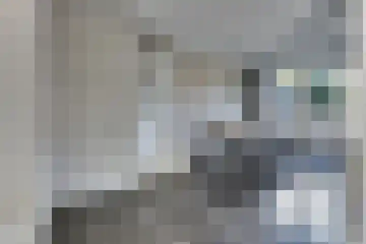 Beneluxlaan 2 Harderwijk thumbnail 16