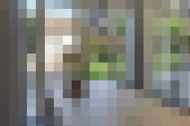 Beneluxlaan 2 Harderwijk thumbnail 18