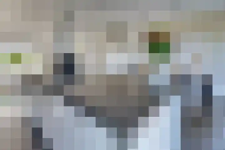 Beneluxlaan 2 Harderwijk thumbnail 24